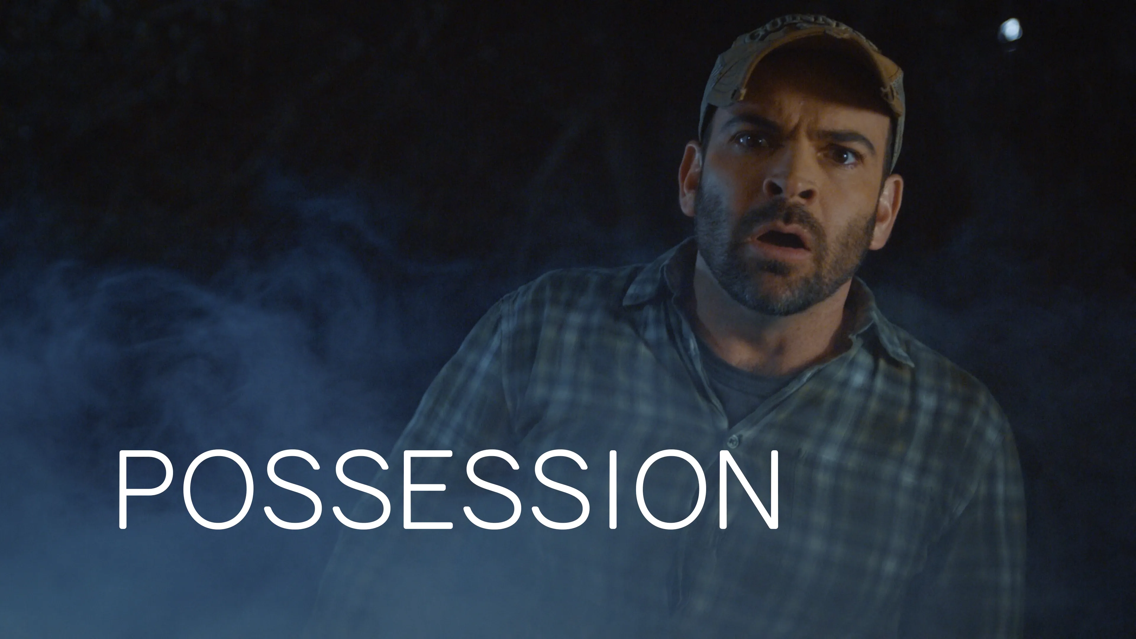 Possession poster